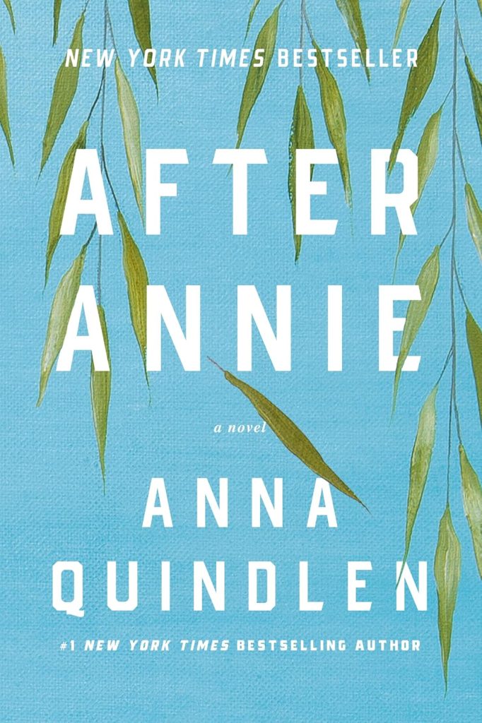 book cover of "After Annie" by Anna Quindlen