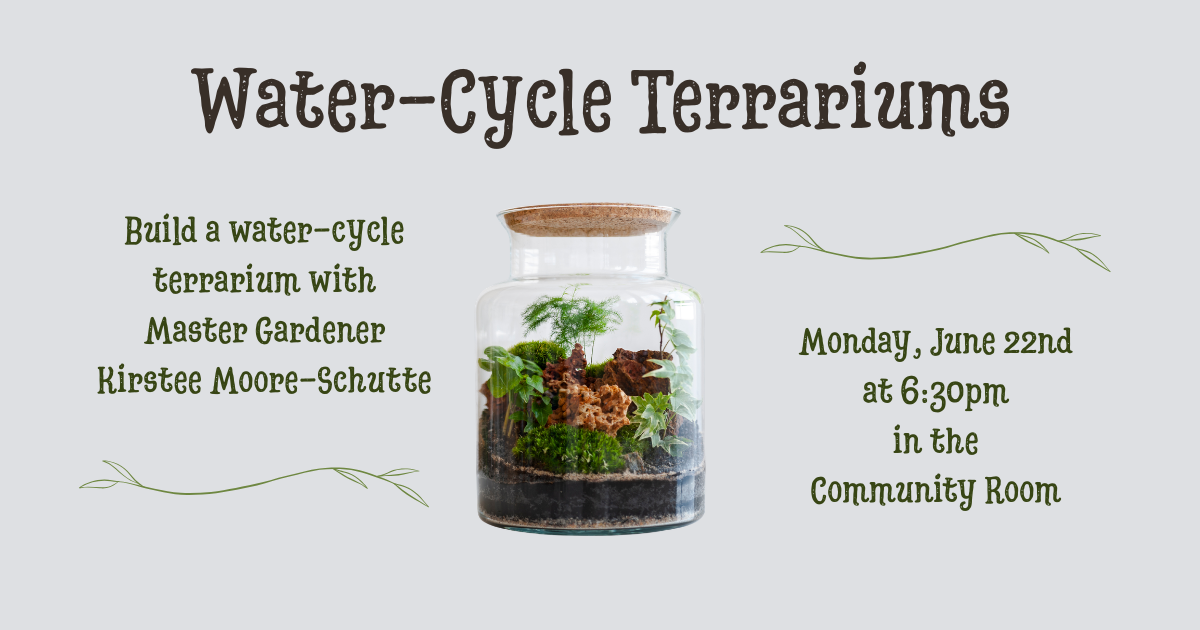 picture of a glass jar terrarium